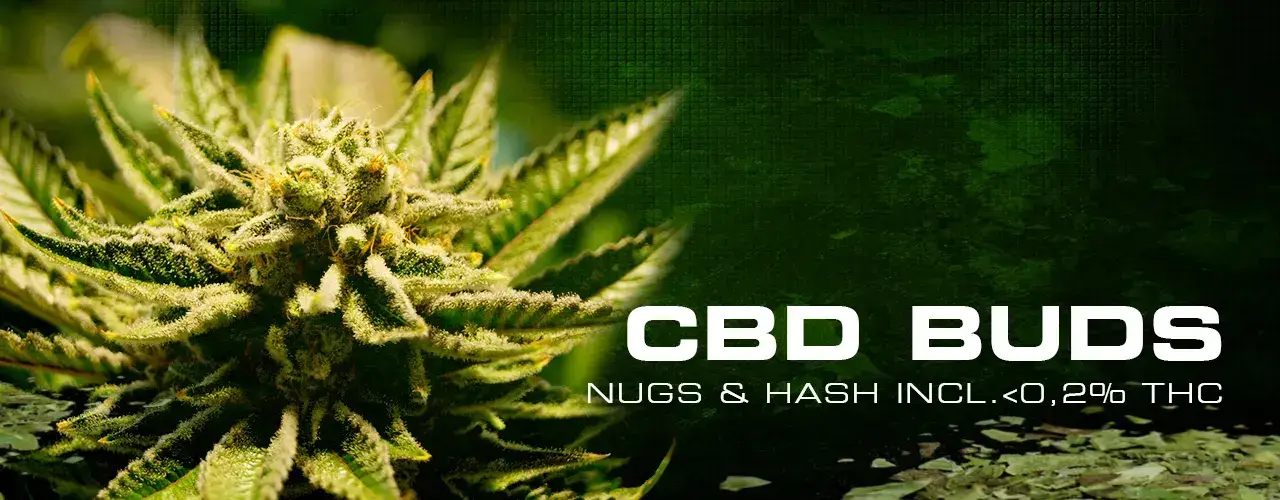 CBD Blüten CBD Blüten